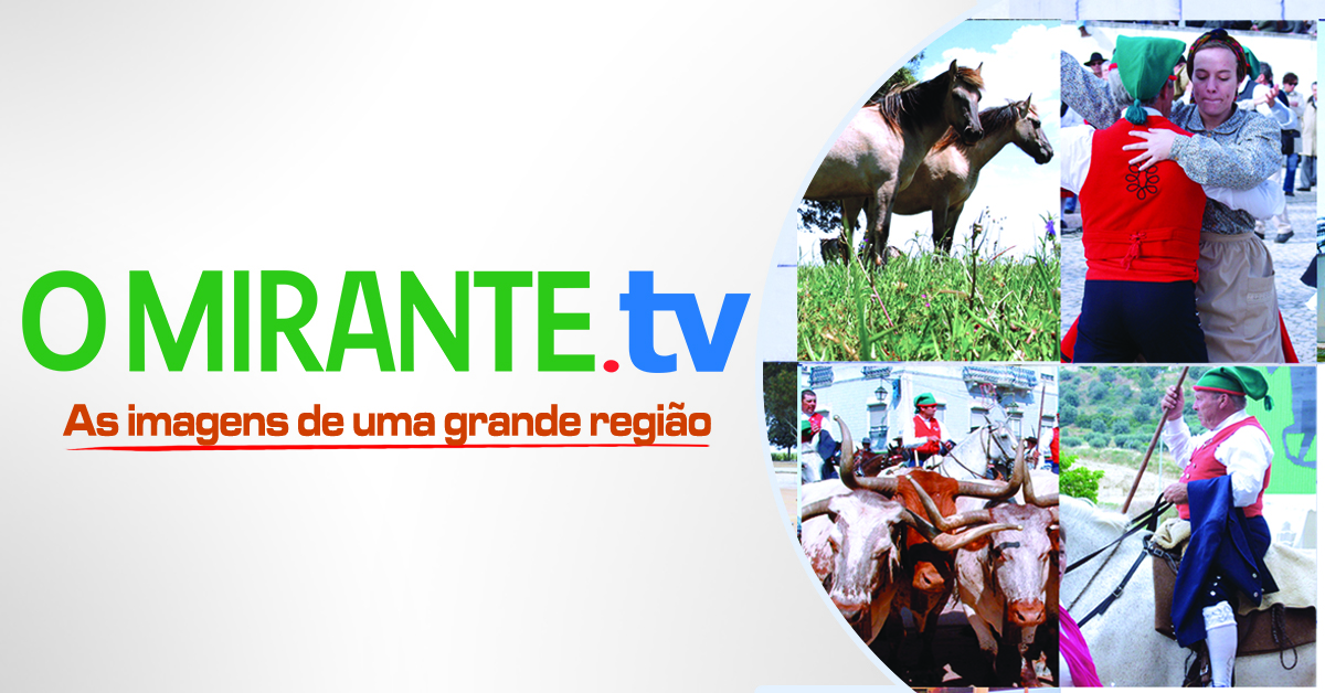 Escola Profissional de Rio Maior sofre com a concorrência do ensino público - O Mirante